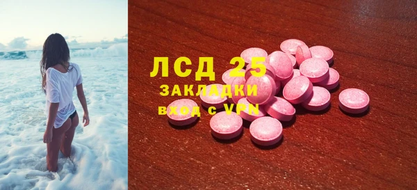 ECSTASY Белокуриха